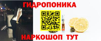 гидра Камень-на-Оби
