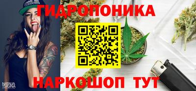 прущие крисы Беслан