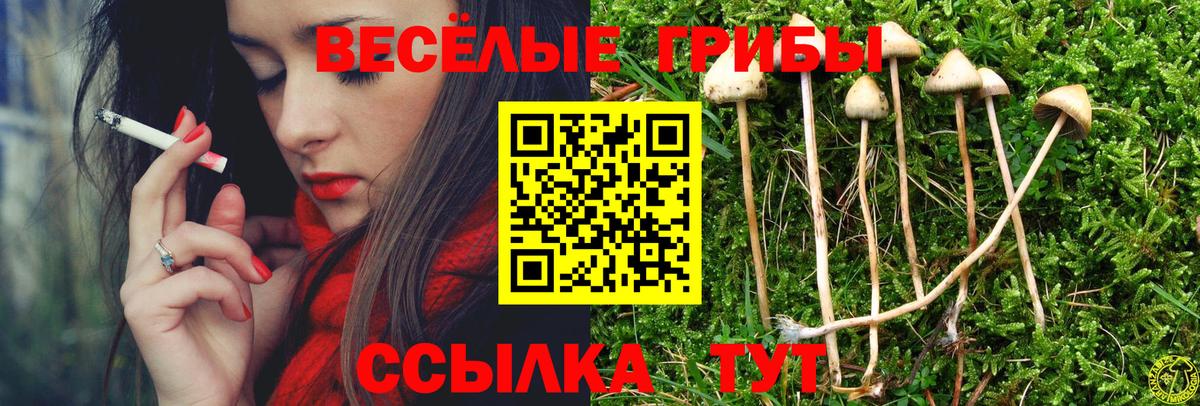 Галлюциногенные грибы Psilocybine cubensis  купить закладку  Зеленодольск  Вход с VPN 