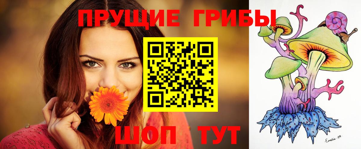 Псилоцибиновые грибы ЛСД Зеленодольск